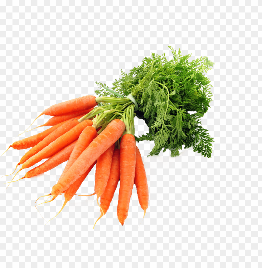 Carrots Png Image Background Toppng