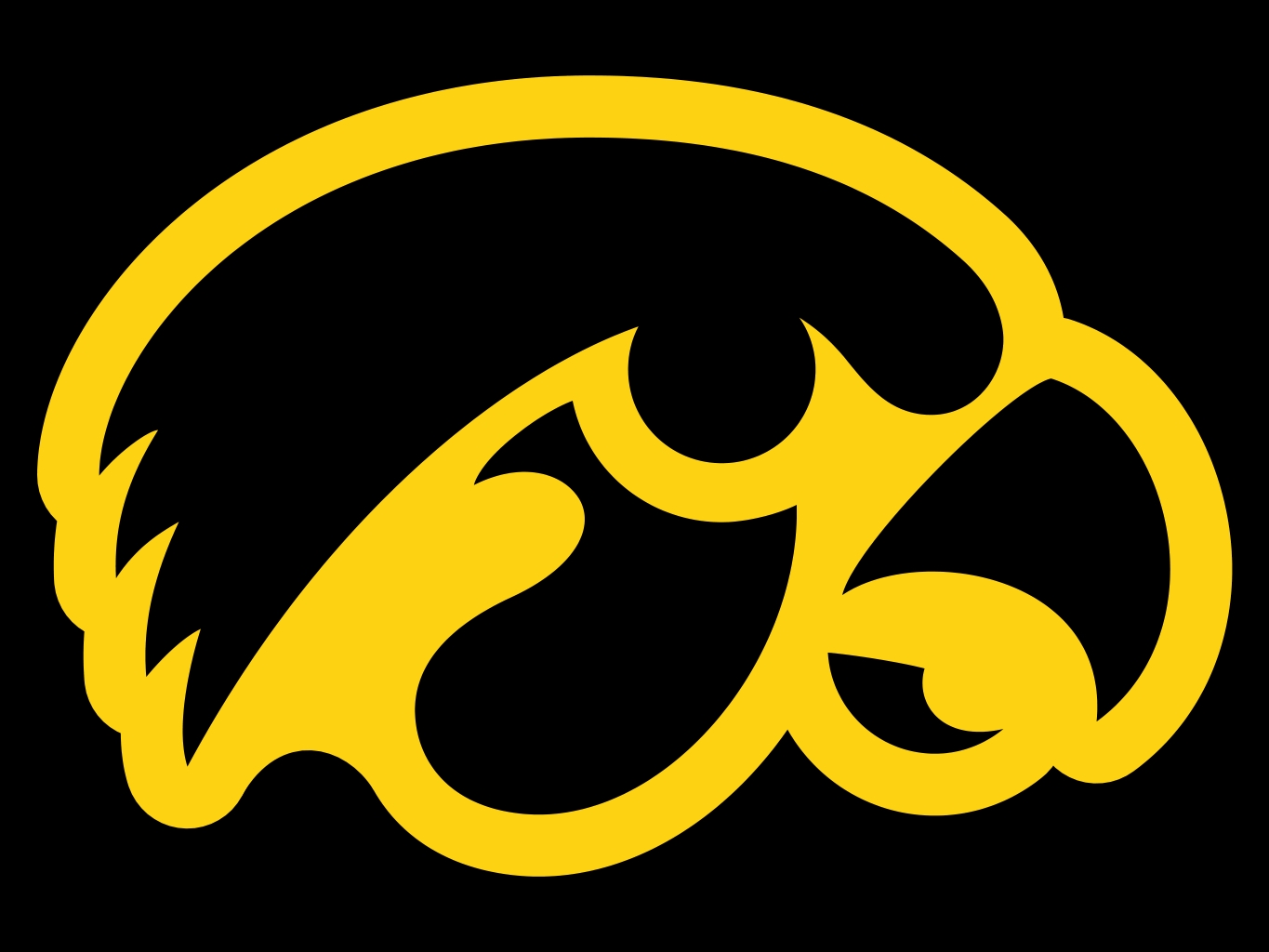 Iowa Hawkeyes Logo