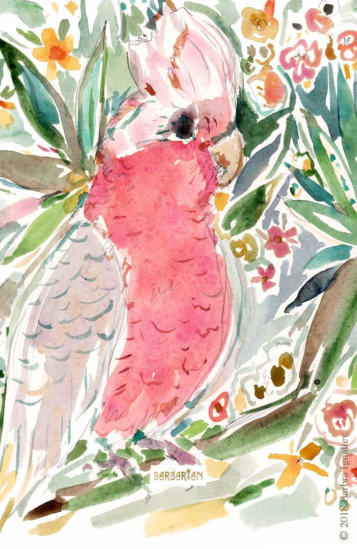 Vinny The Galah Cockatoo Wallpaper iPhone Boho