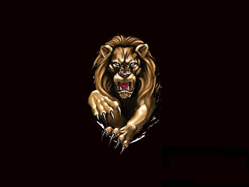 Lion Wallpaper 3d Animalgals