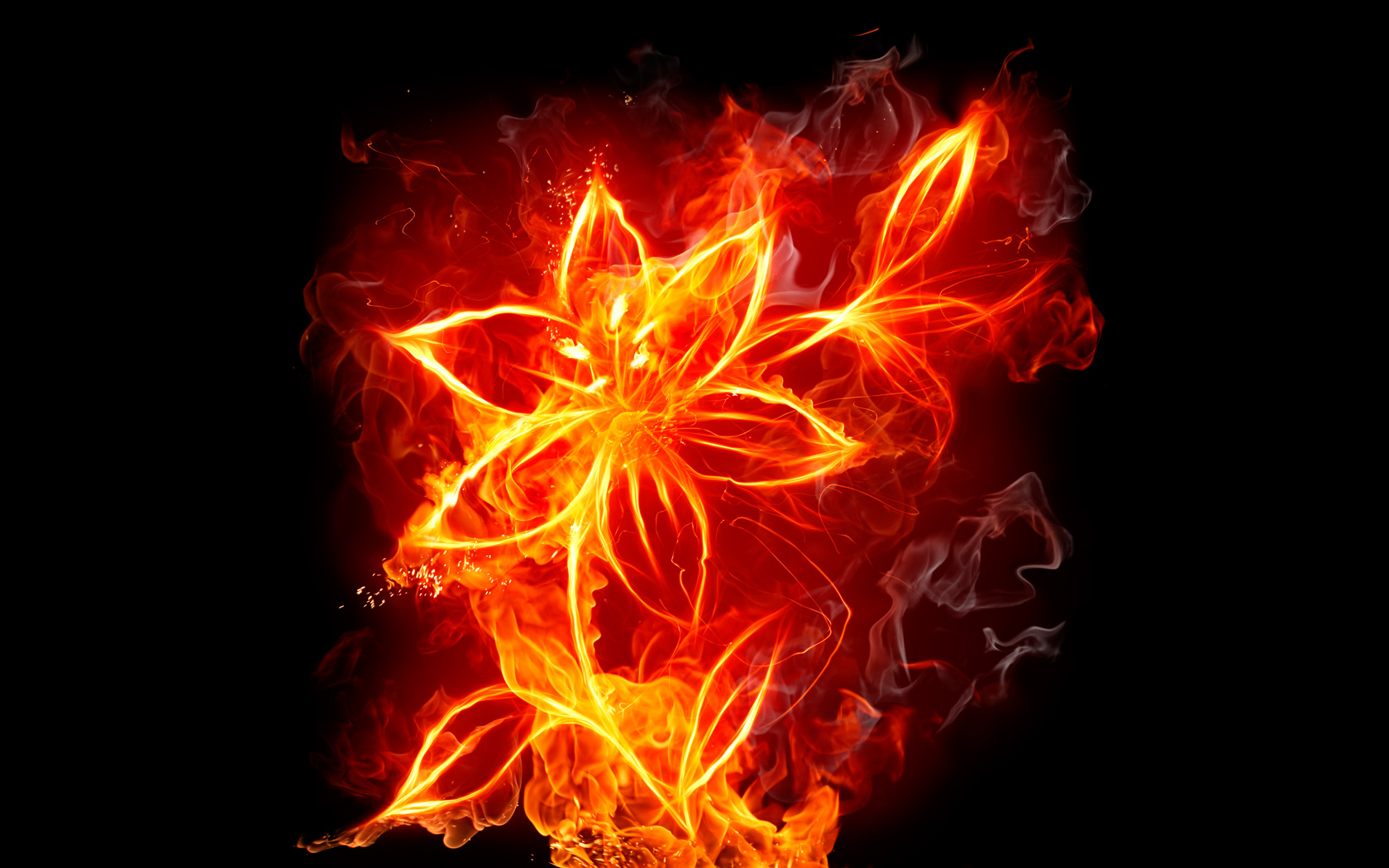 Fire Flower Puter Wallpaper Desktop Background Id