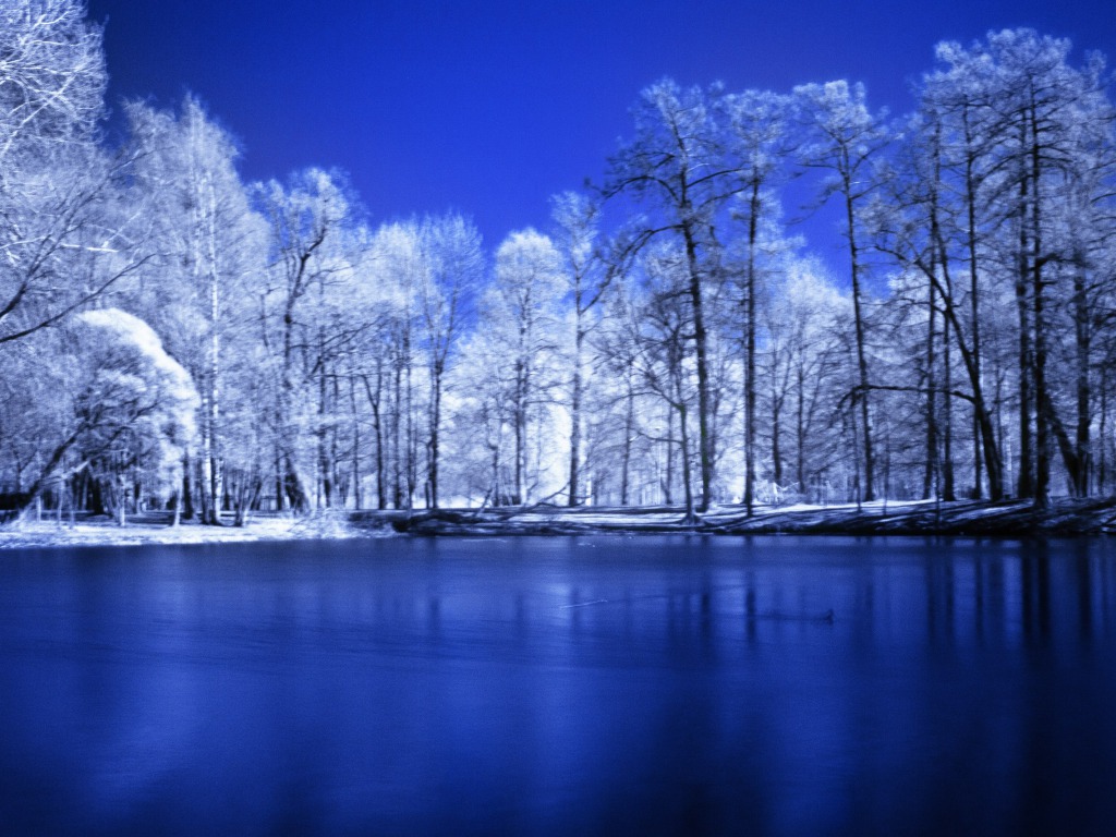 Blue Winter Background One HD Wallpaper Pictures