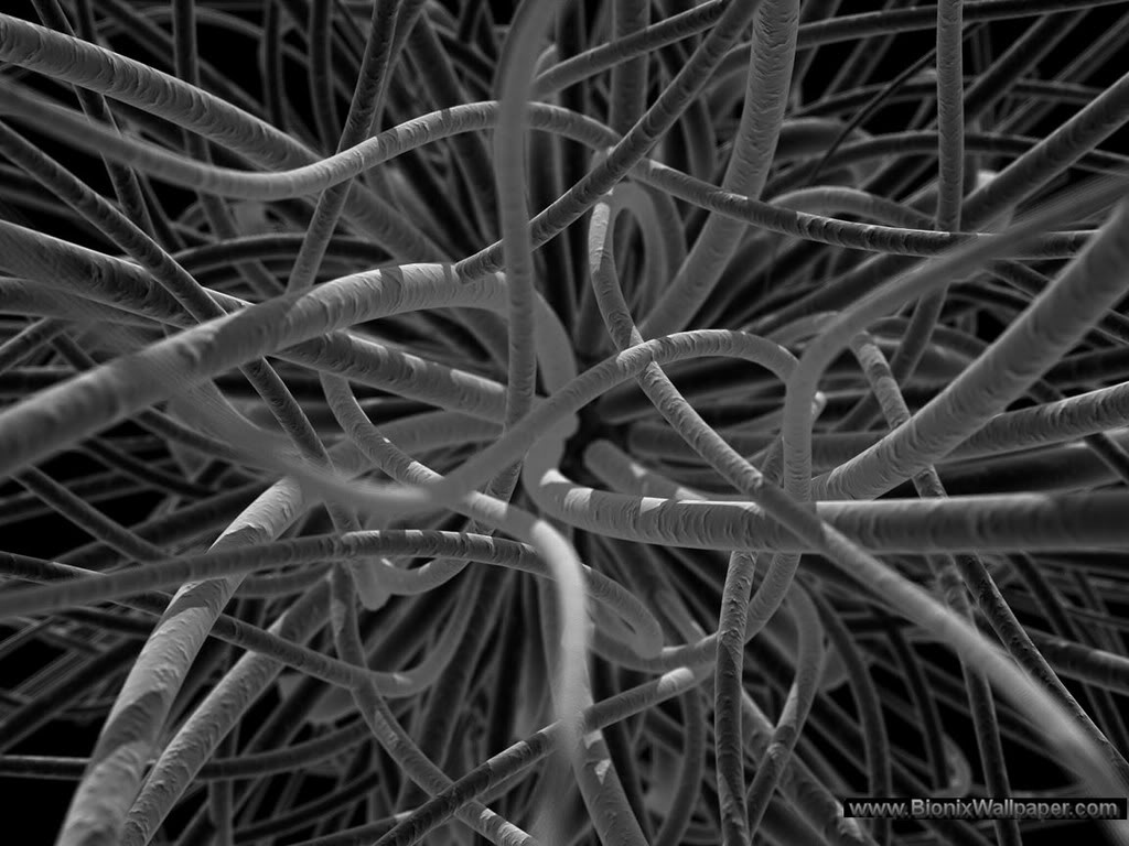 Synapse photo BionixWallpaper Synapse1jpg