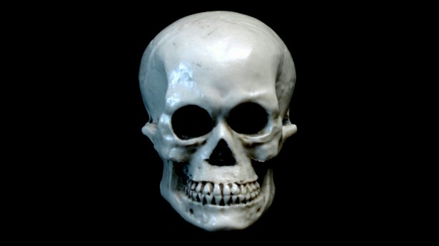 Skull On Black Background Stock Photo Public Domain Pictures