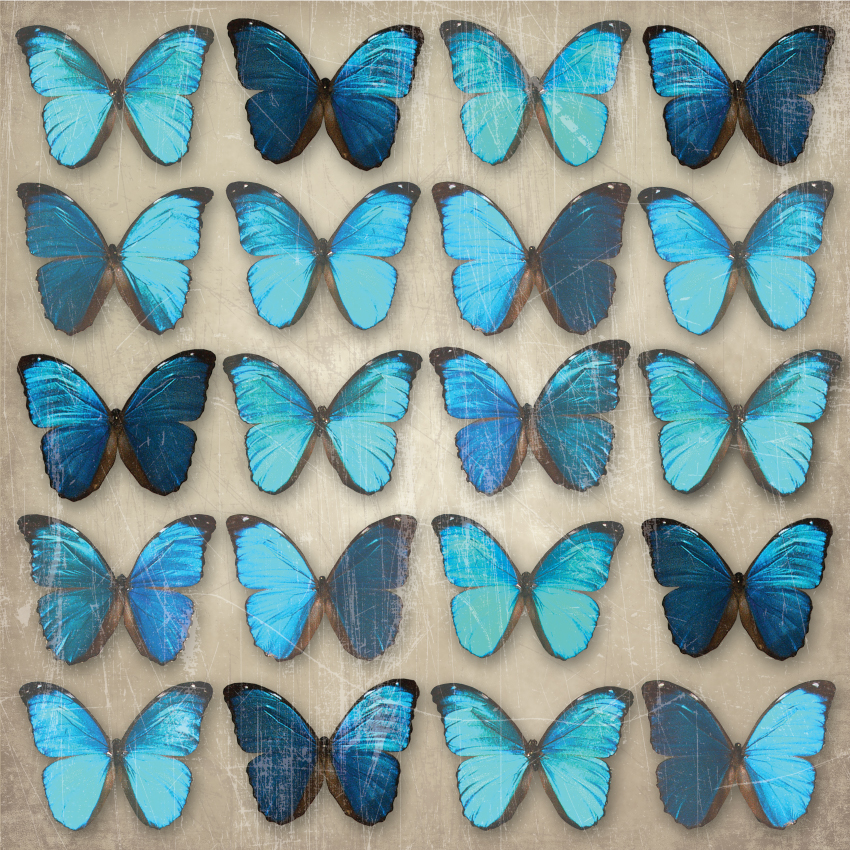 Teal Butterflies By Arthouse Wallpaper Direct