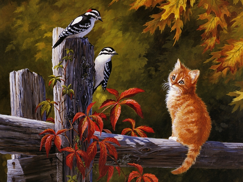 Autumn Friends Cats Wallpaper