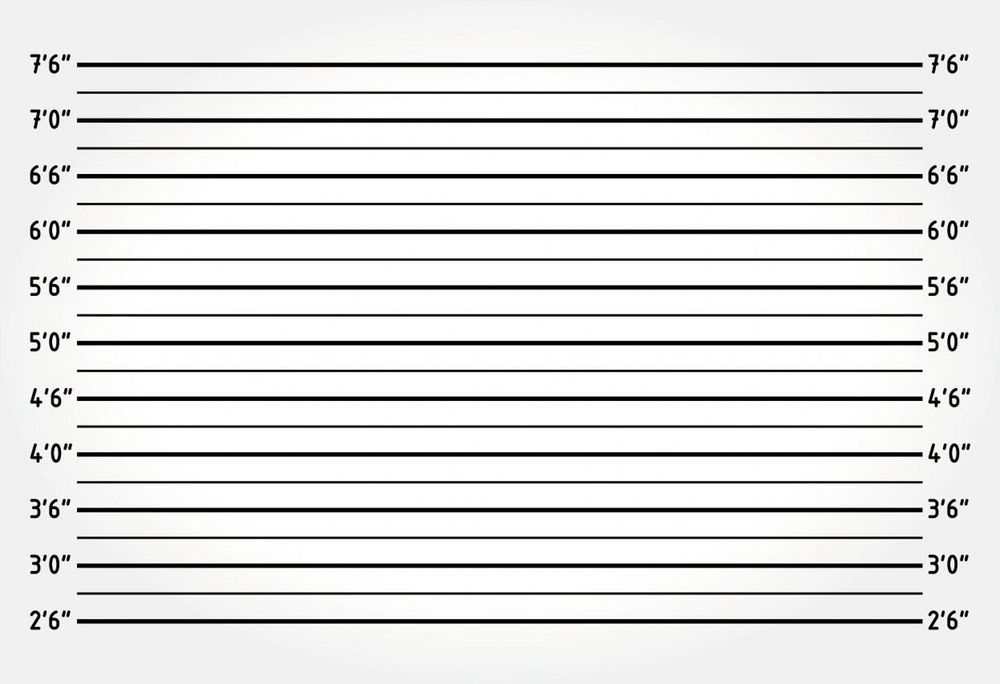 Mugshot Background Digital Printed White Police Lineup Prop X