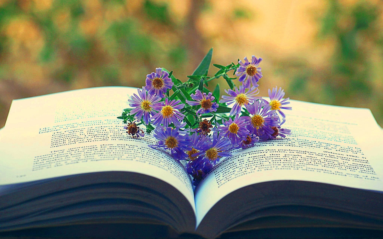 Reading Book Wallpaper