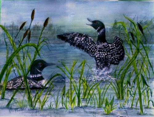 Loons On A Lak