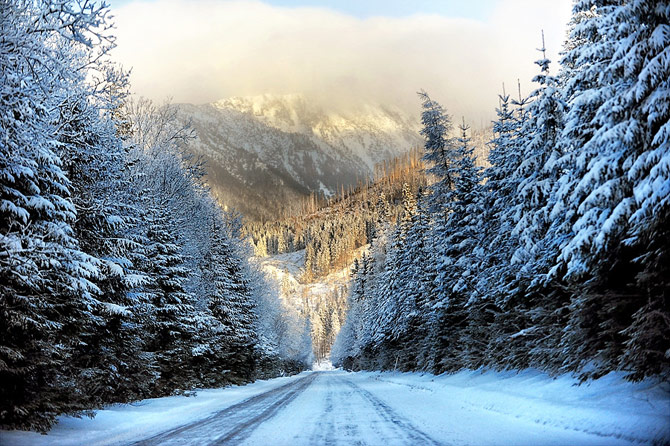 Breathtaking Snow Landscape Photography Amo Image