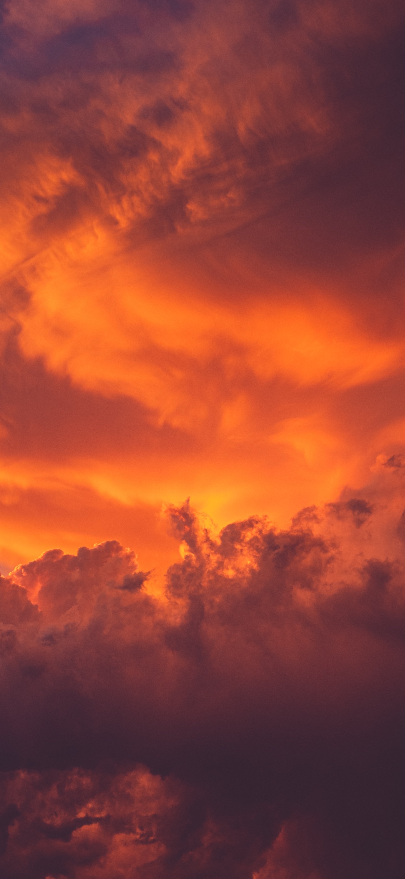 A Collection Of Vibrant Orange Wallpaper For iPhone