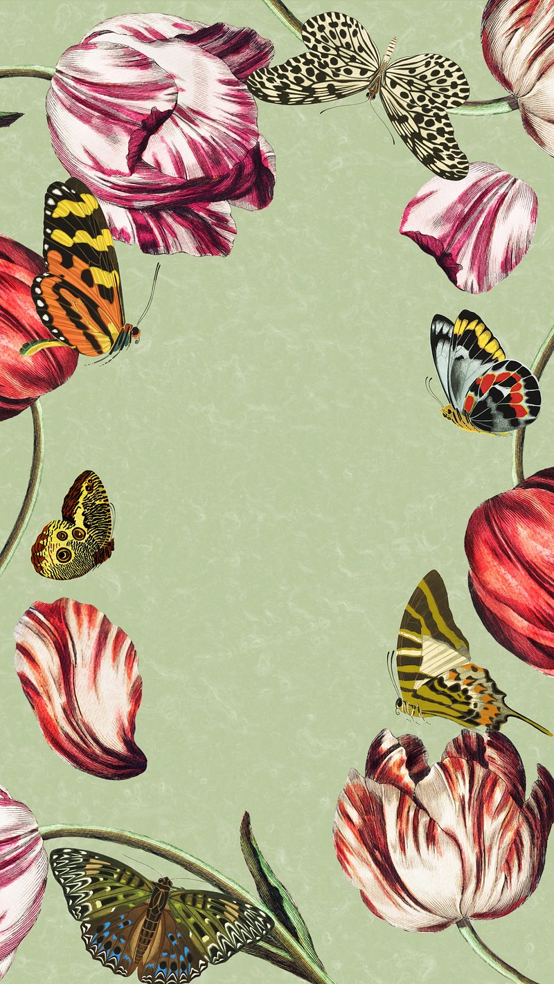 Tulips iPhone Wallpaper Image