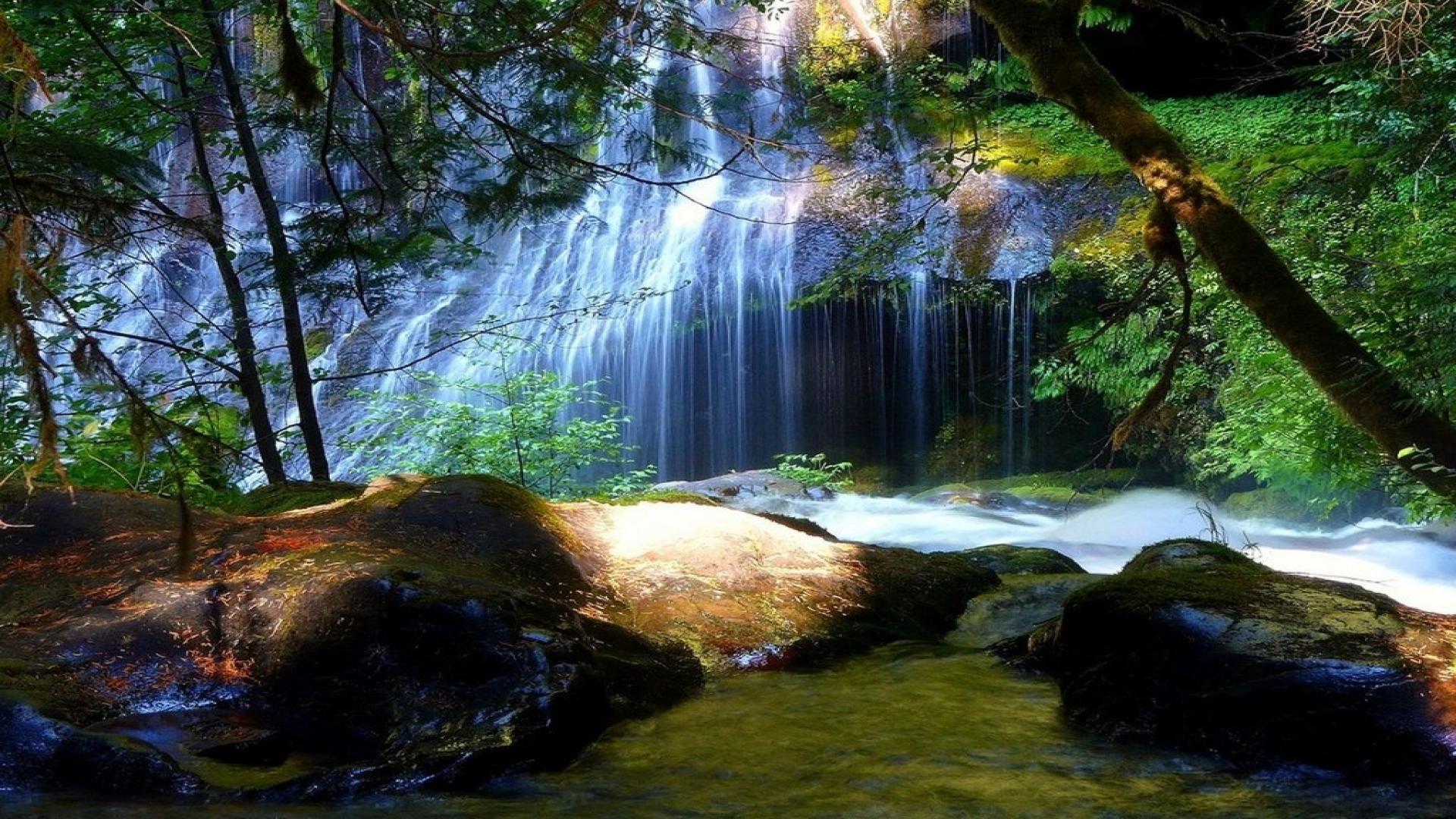 Forest Waterfall Wallpaper Find Nature
