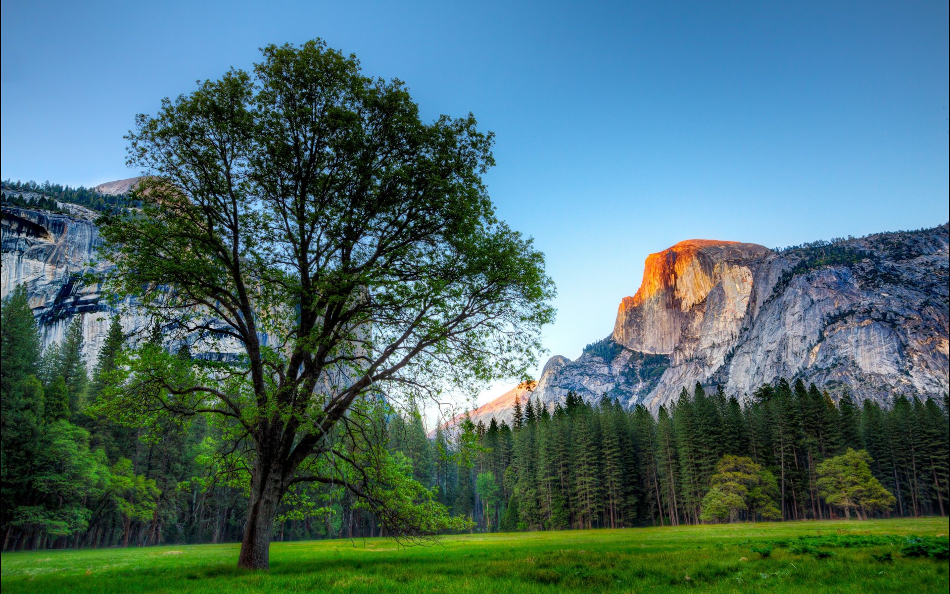 OS X Yosemite Wallpaper HD - WallpaperSafari