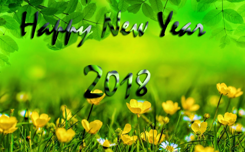 2018 New Year HD Desktop Wallpapers 9To5AnimationsCom 987x613