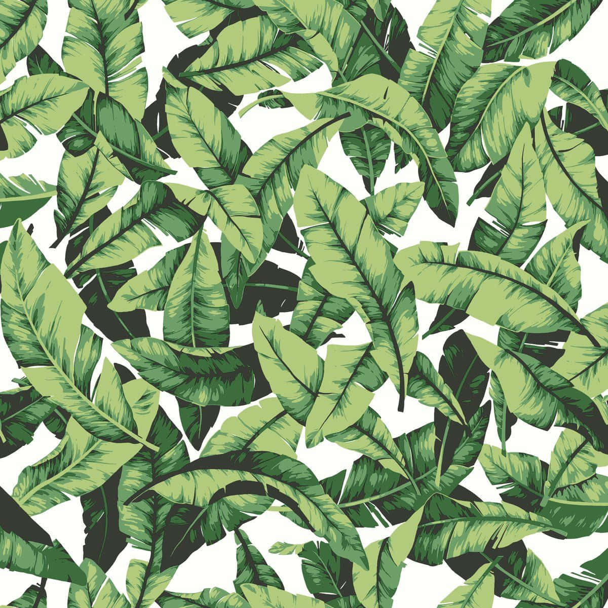 Tropical Leaves Desktop Wallpaper