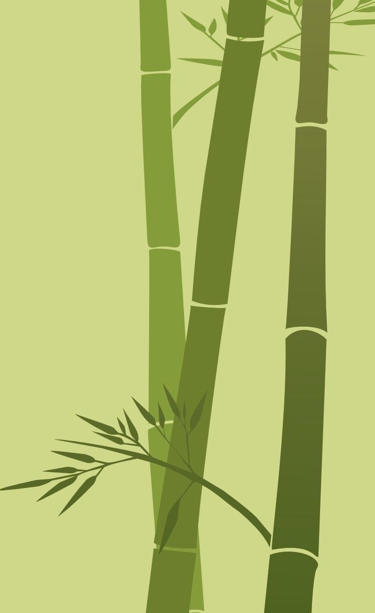 Mobile Bamboo Wallpaper Hd 744x1216