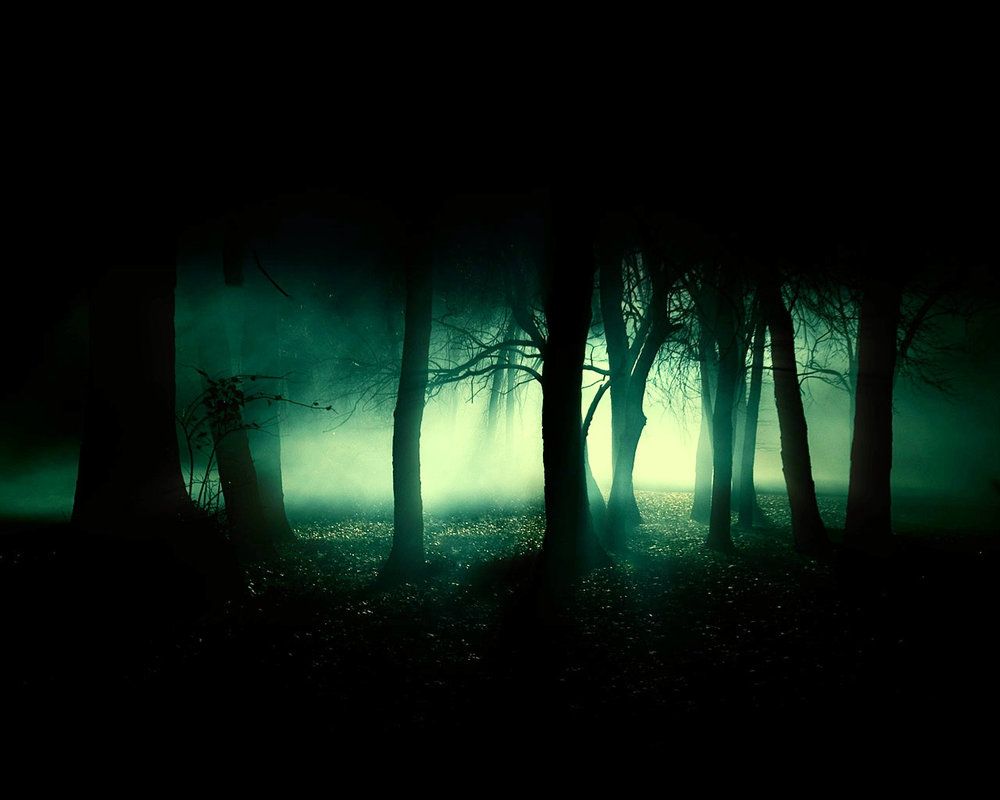 Forbidden Forest By Admin2gd1 Artsy Dark