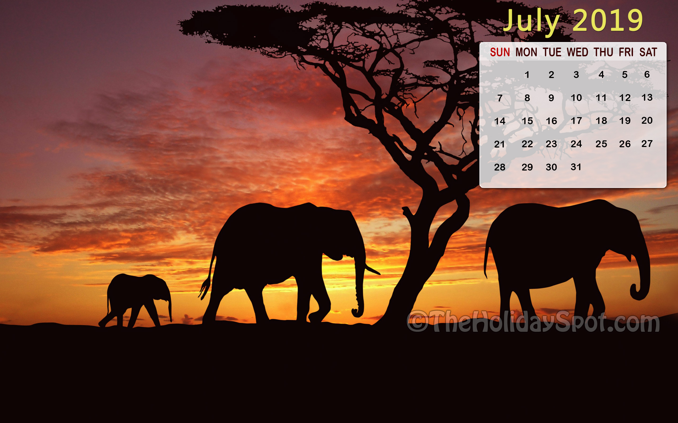 free-download-month-wise-calendar-wallpapers-of-2018-2019-2560x1600