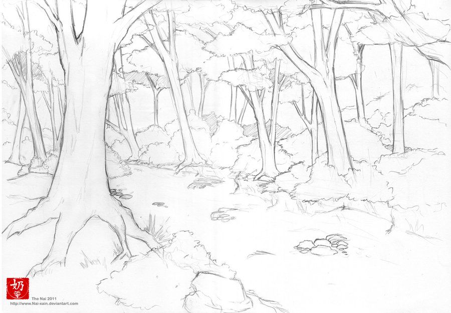 Forest Line Art By Nai Xain Drawing Nature