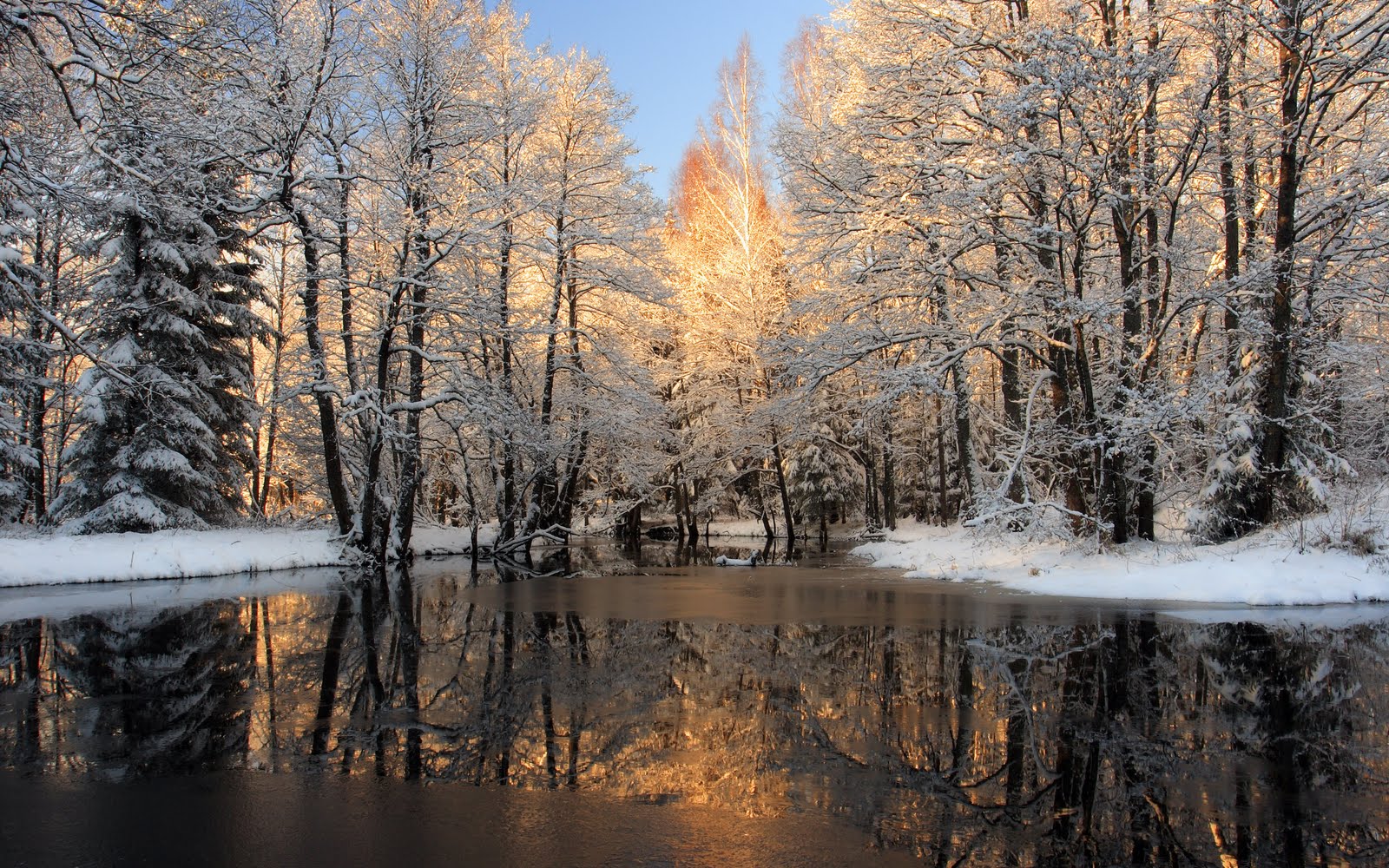 Tags Winter Season Wallpaper Ice Lake Shining Snow Trees In