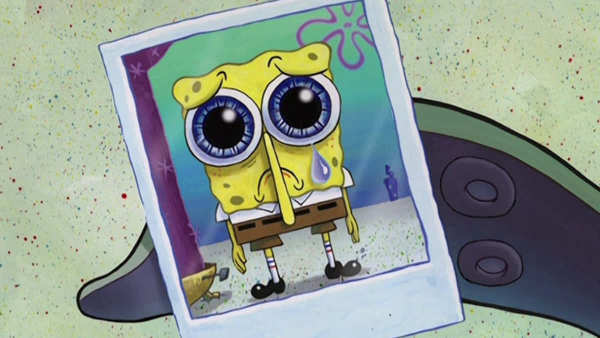 Spongebob Crying Wallpaper