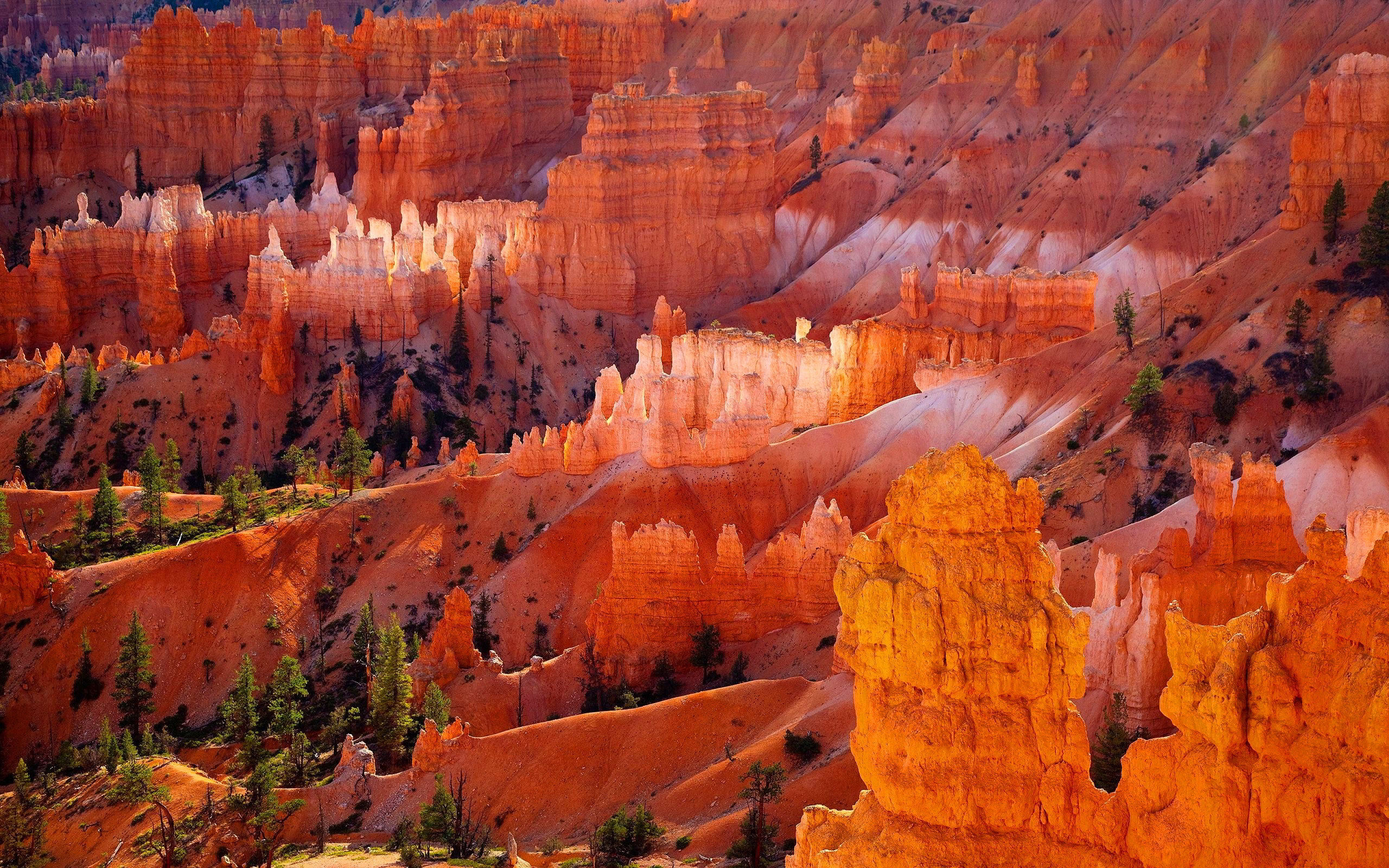 Bryce Canyon Wallpaper Gallery Image