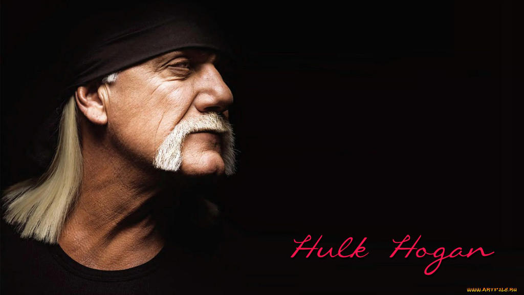 Hulk Hogan Wallpaper High Resolution Image By Jessicaherron9 On