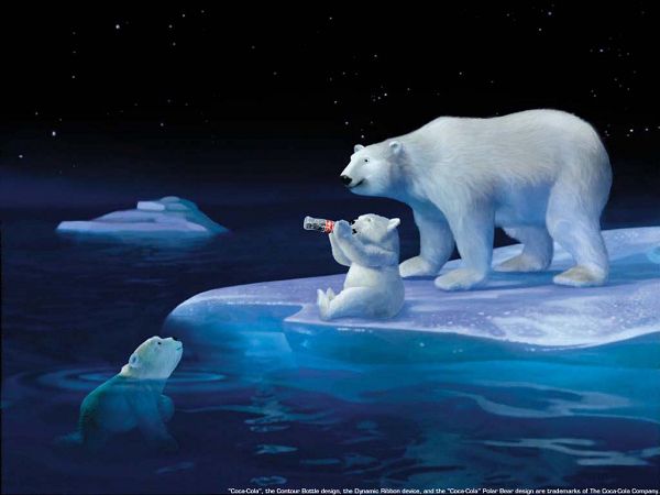 Wallppaer Cute Polar Bear Wallpaper World