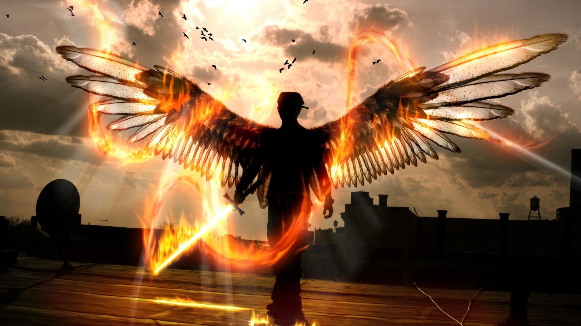 15 Wings of Fire Wallpapers