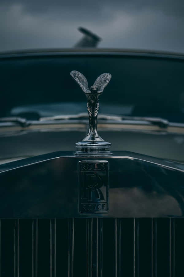 Expensive Btg1ae927rqwaiat Wallpaper