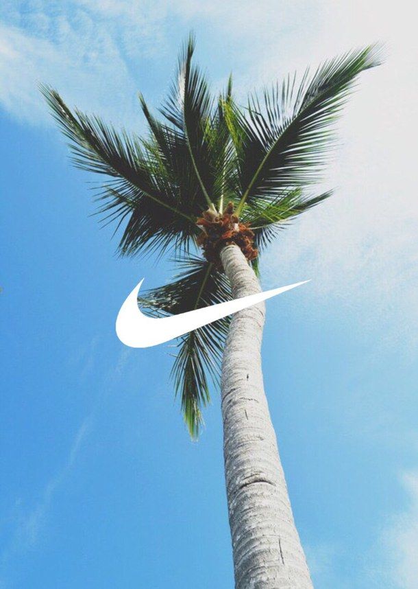 Fond iPhone Nike Palme Tapisserie Dran Adidas