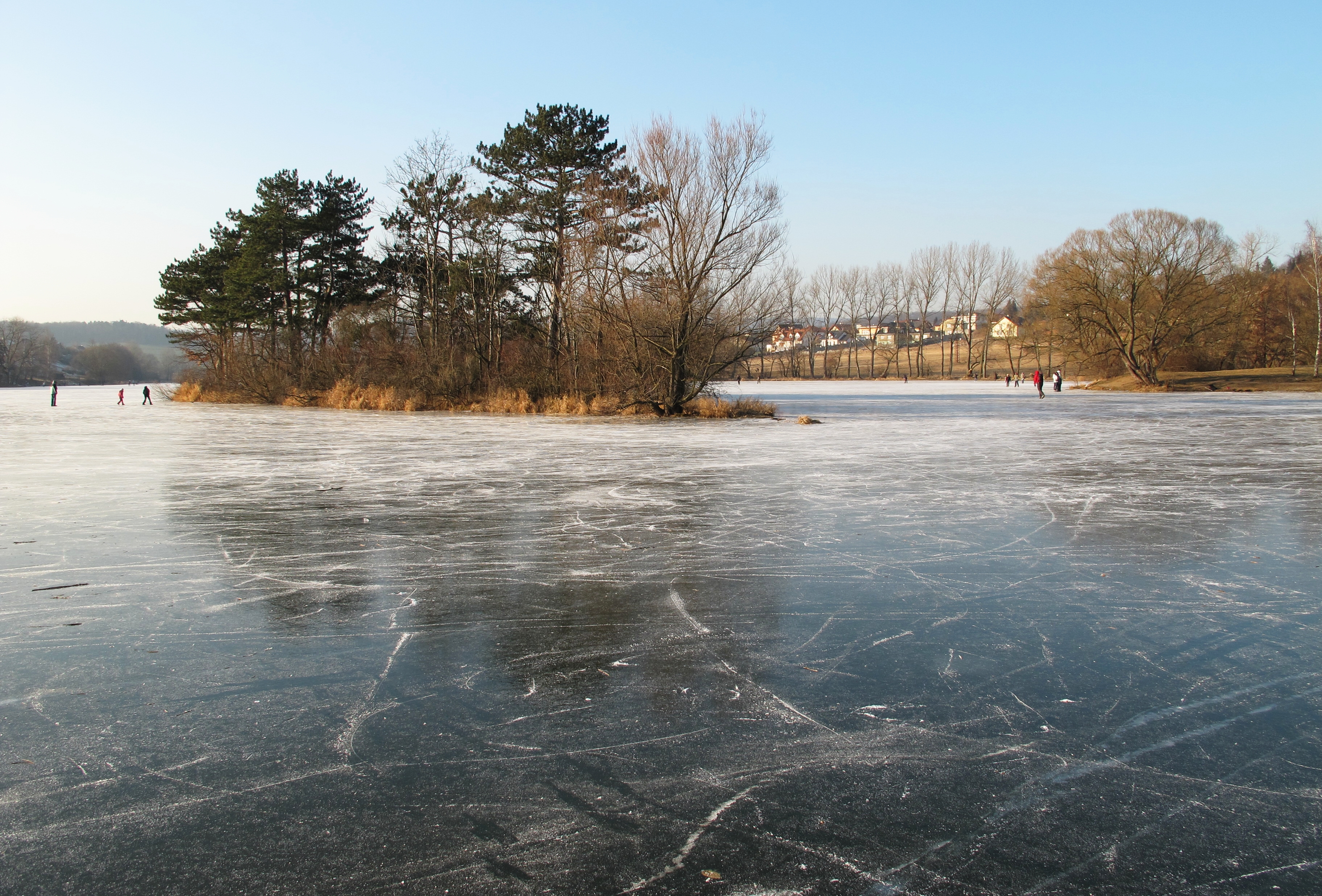 Frozen Pond File Papez In