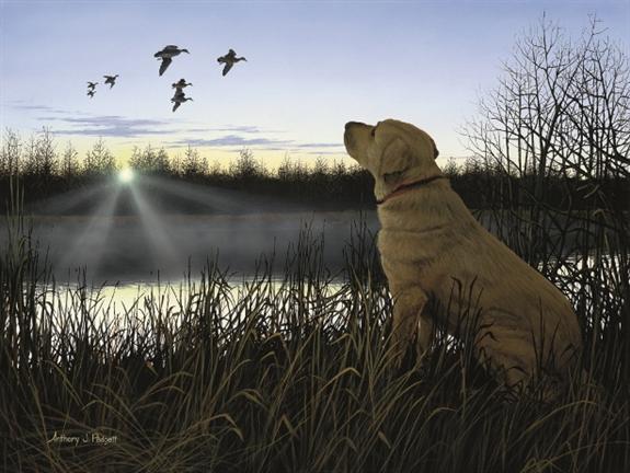 Anthony Padgett named Ducks Unlimited International Artist of the Year 575x432
