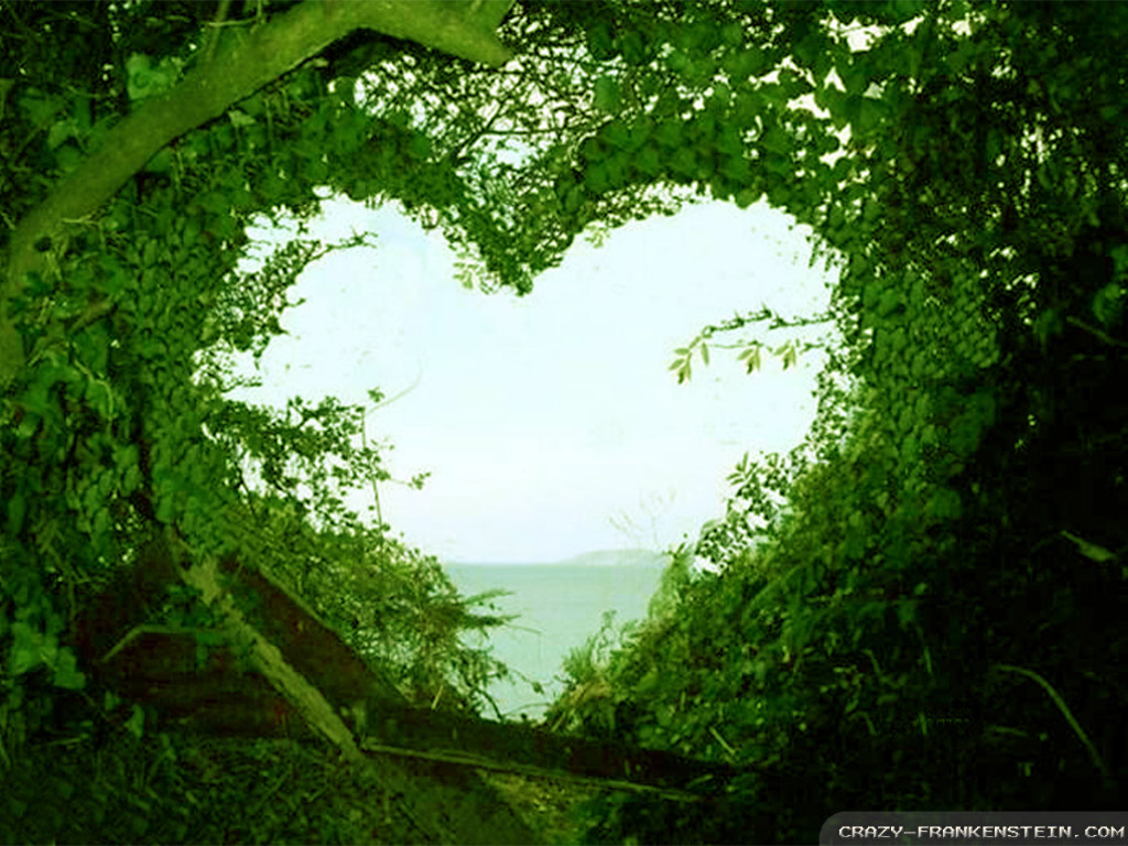 Background Wallpaper For Love Natural