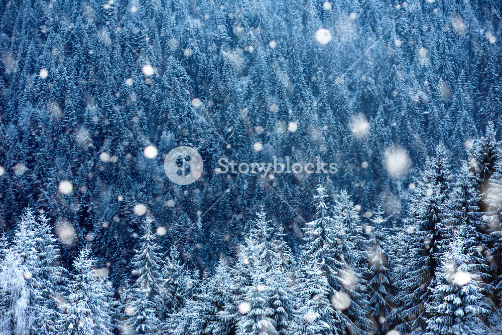 Christmas background with snow covered forest and heavy snowfall