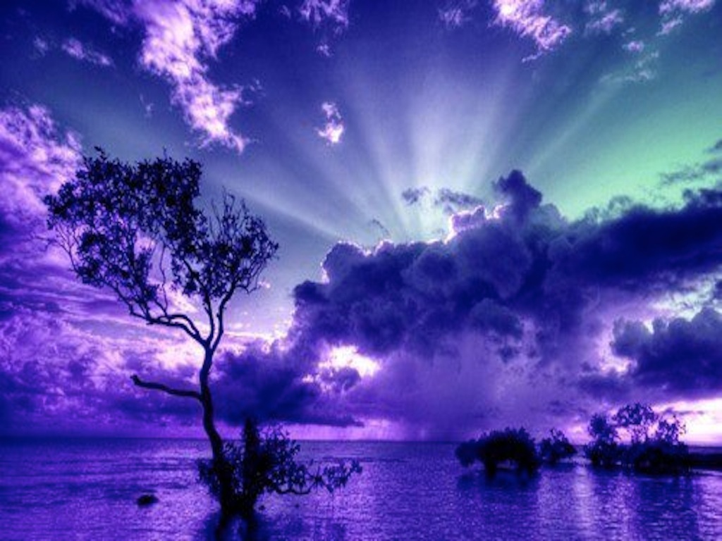 Une Nuit Violette Mystique Wallpaper