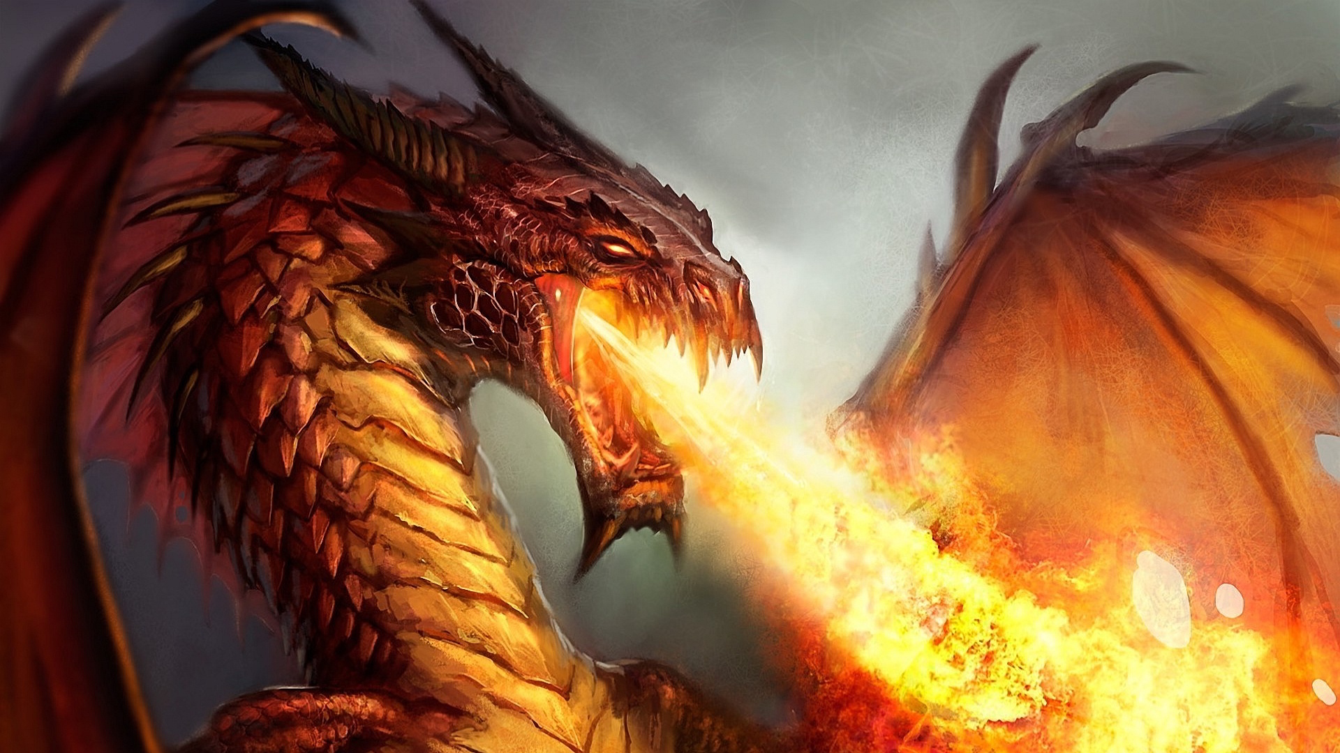 567336 dragon fire fantasy art magic the gathering  Rare Gallery HD  Wallpapers