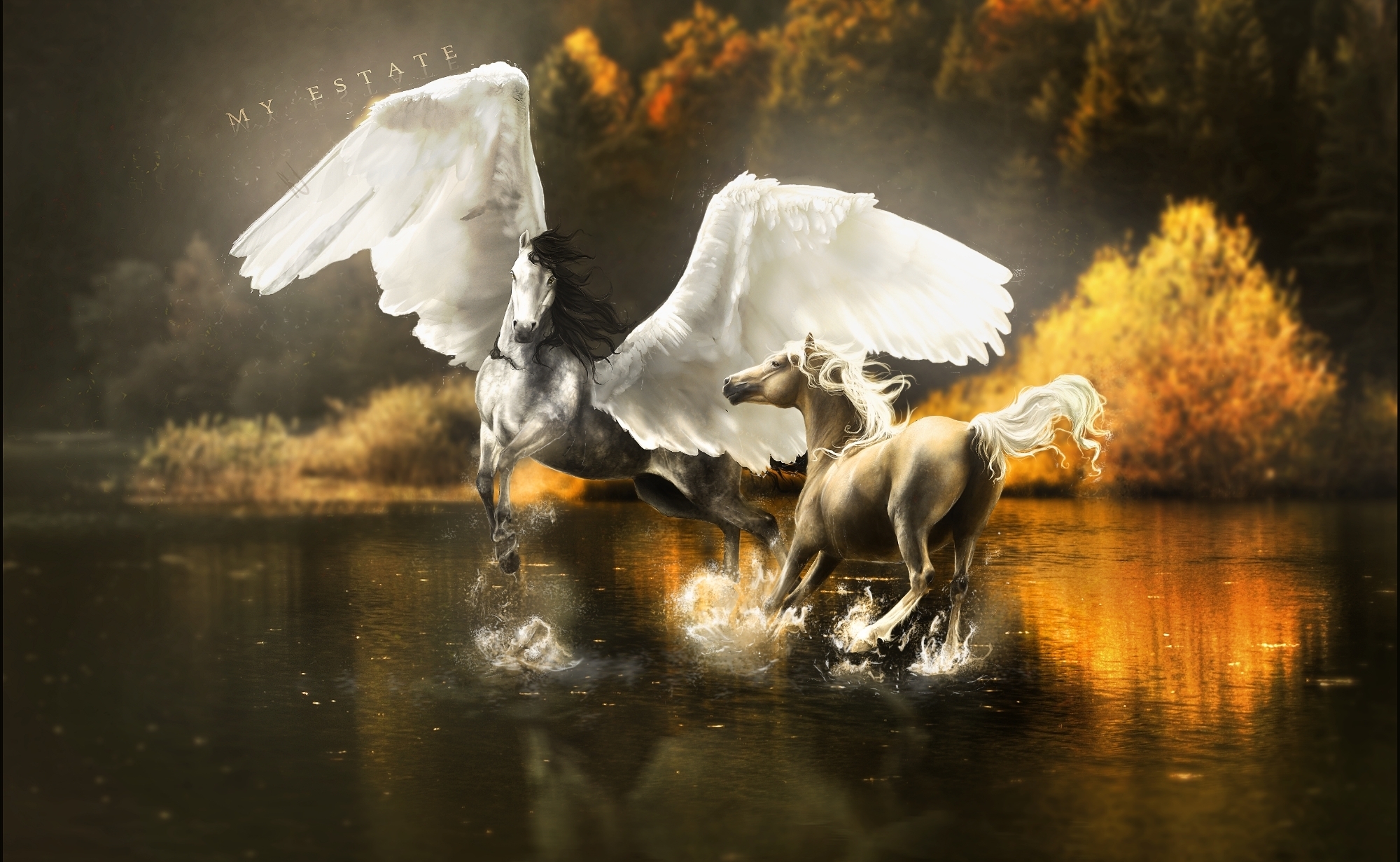 Pegasus Horses Wings Horse Lake Autumn Reflection Wallpaper Background