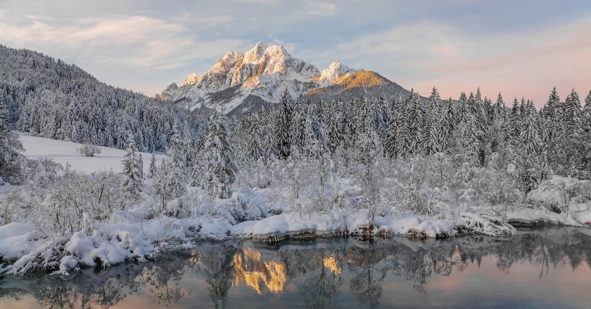 A Snowy Mountain With Trees And Water Photo Image On