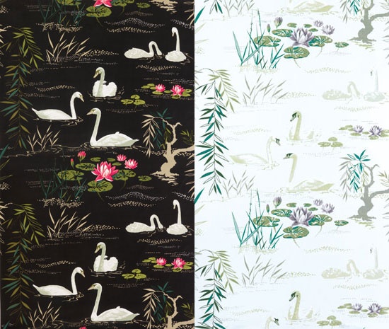 Swan Wallpaper For The Home