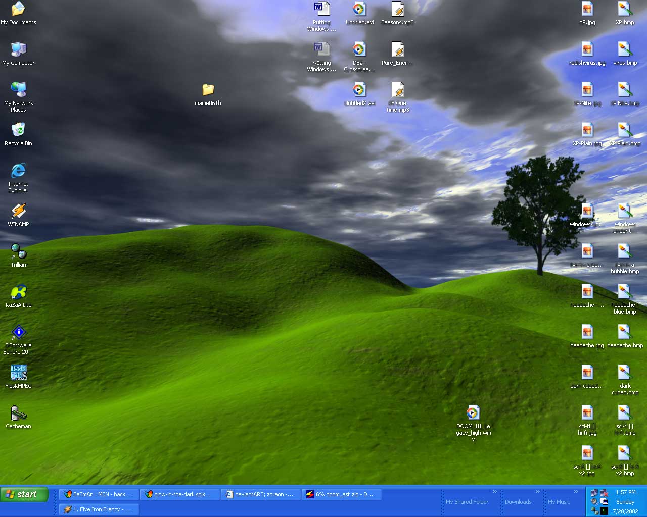 Xp Wallpaper - wallpapers: Grass Windows XP Wallpapers / Download