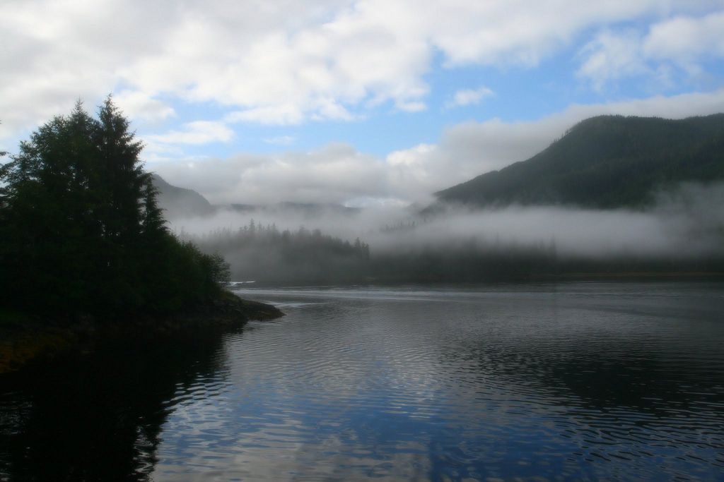 Foggy Morning In Ketchikan Alaska Oc X Wallpaper
