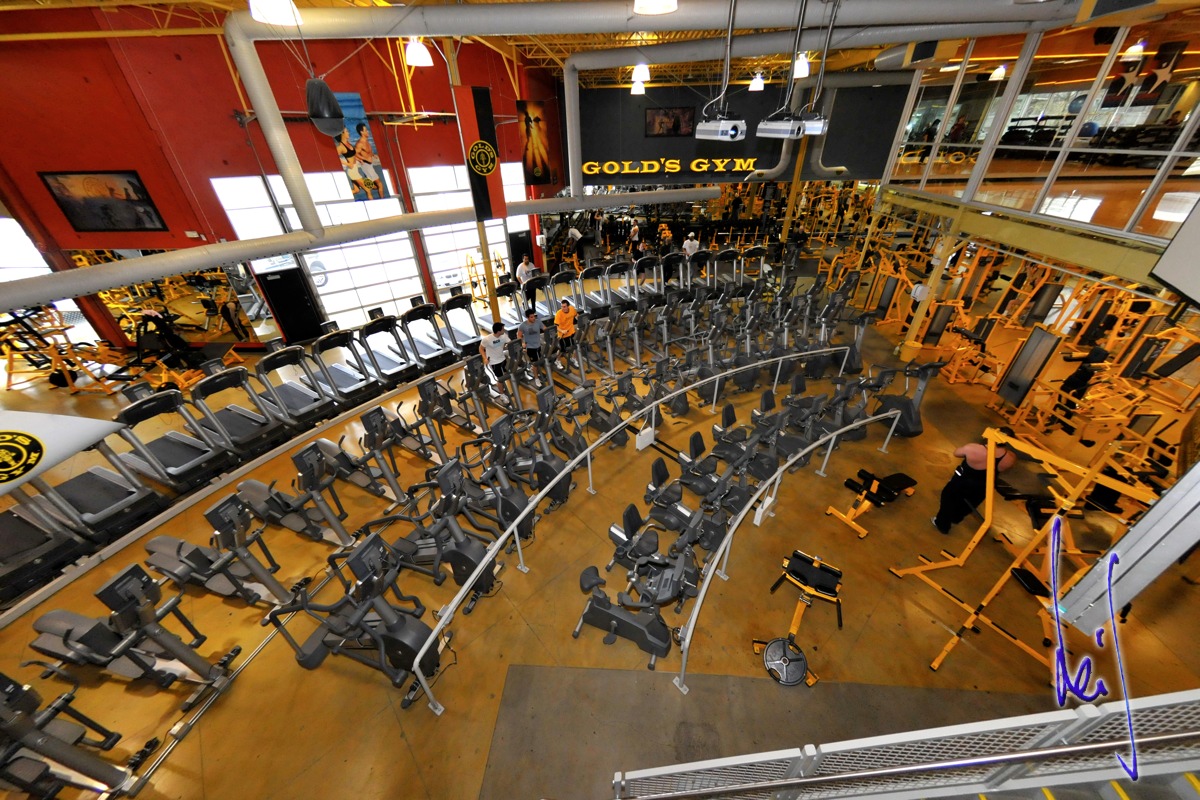 Gold S Gym Burnaby Photo Image And Wallpaper By Leifgrandell Files