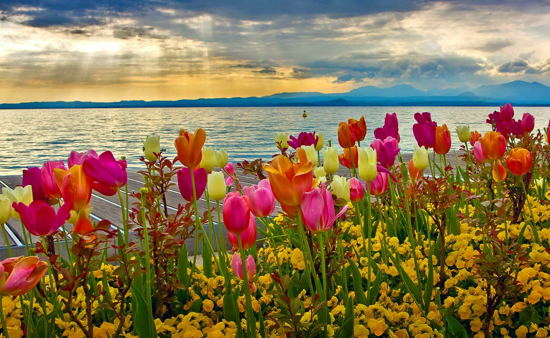 Desktop Wallpaper Spring Flowers Image