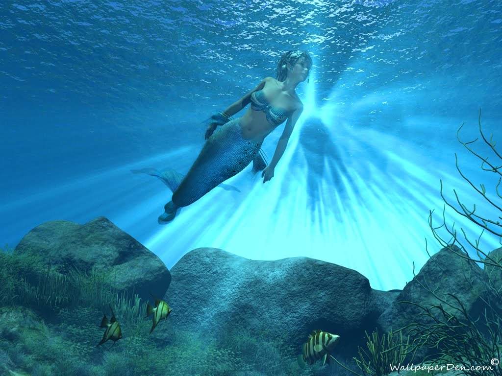 Mermaid Wallpaper Desktop Background Funny Doblelol