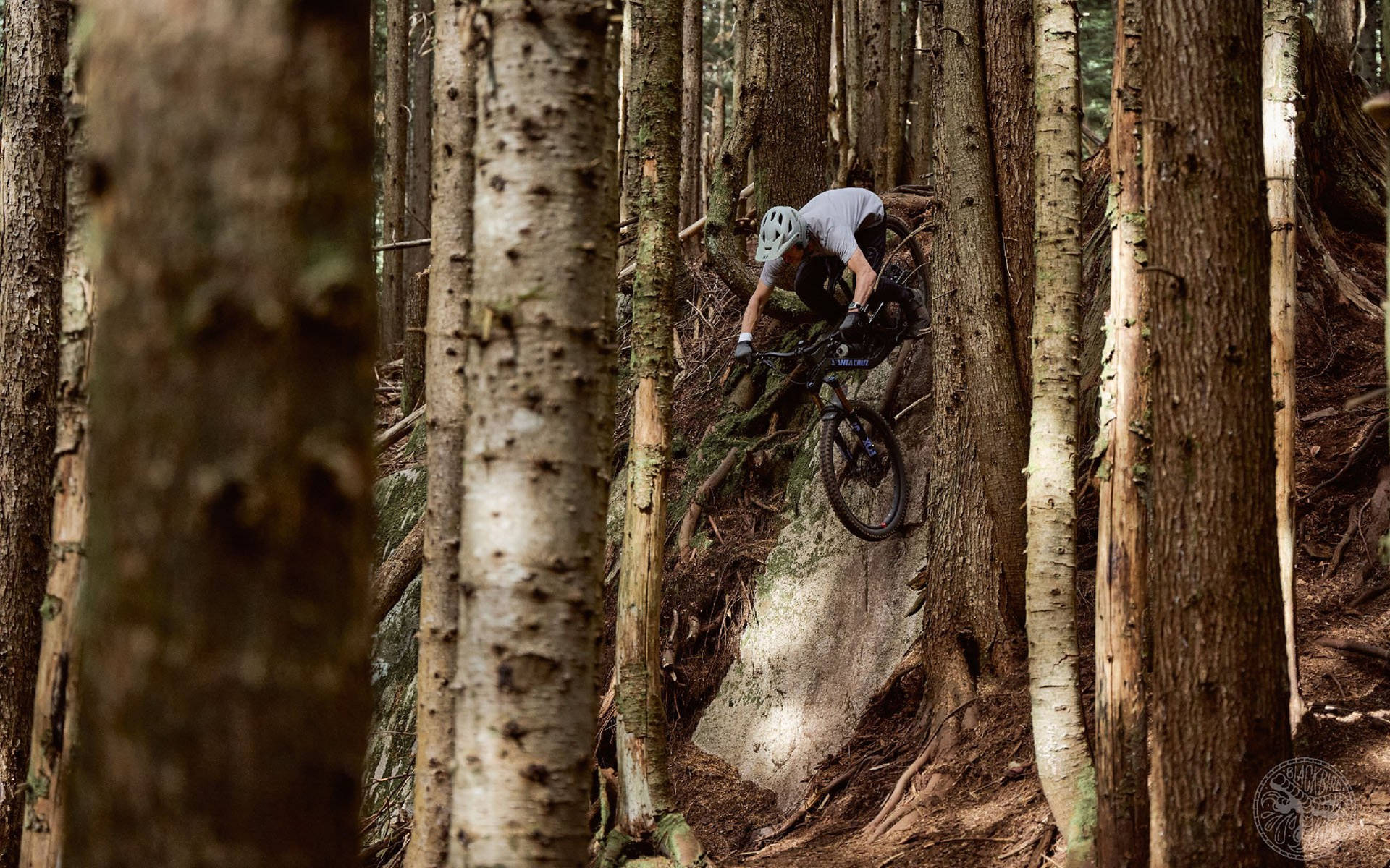 4k Mountain Bike Wallpaper