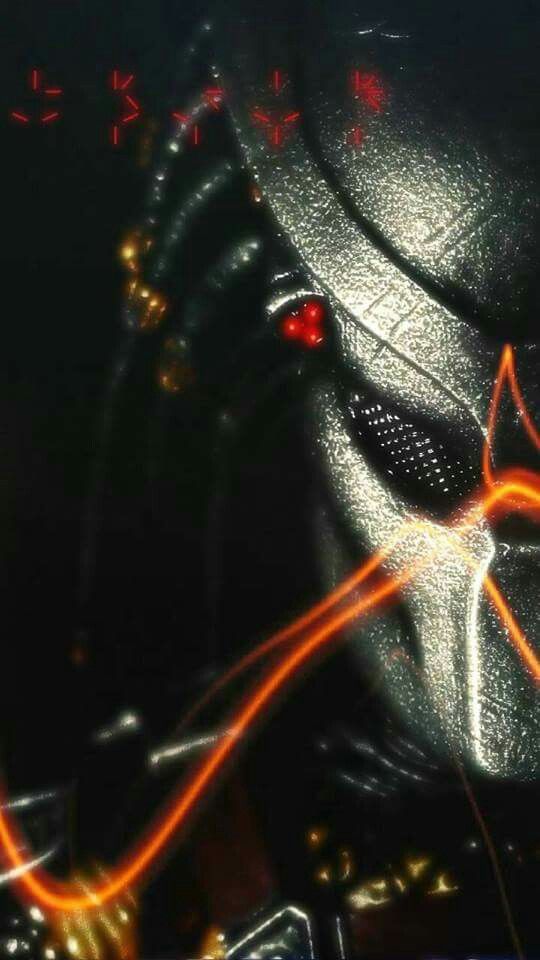 Predator Wallpaper With Image Alien Vs