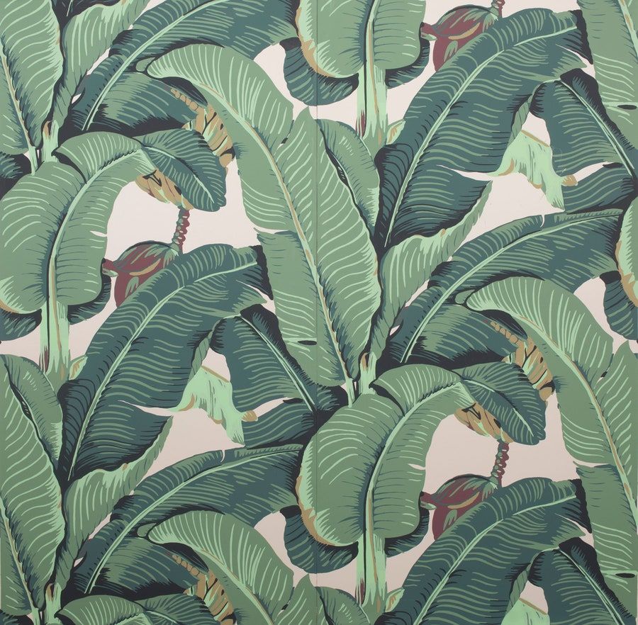 Of The Most Iconic Wallpaper All Time