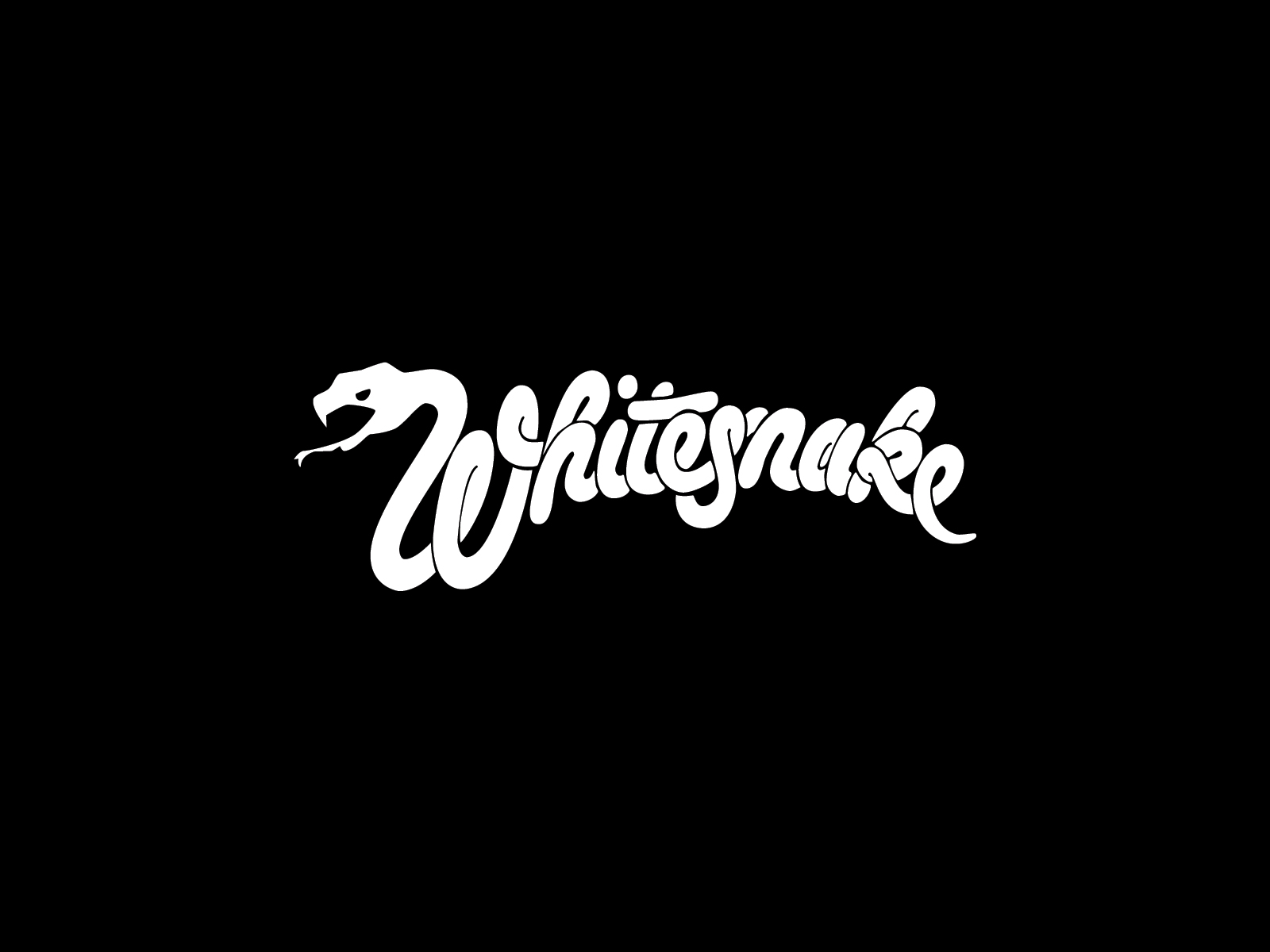 Whitesnake band logo and wallpaper 1600x1200